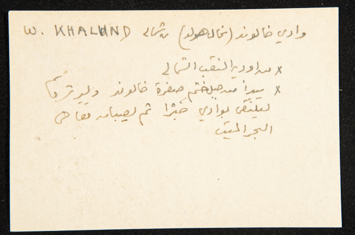 عادل الزواتي، وادي 