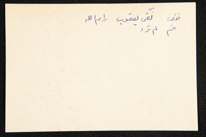 عادل الزواتي، وادي 
