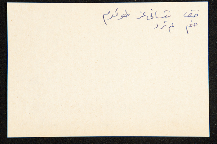 عادل الزواتي، وادي 