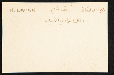 عادل الزواتي، وادي 