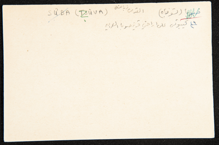 عادل الزواتي، وادي 