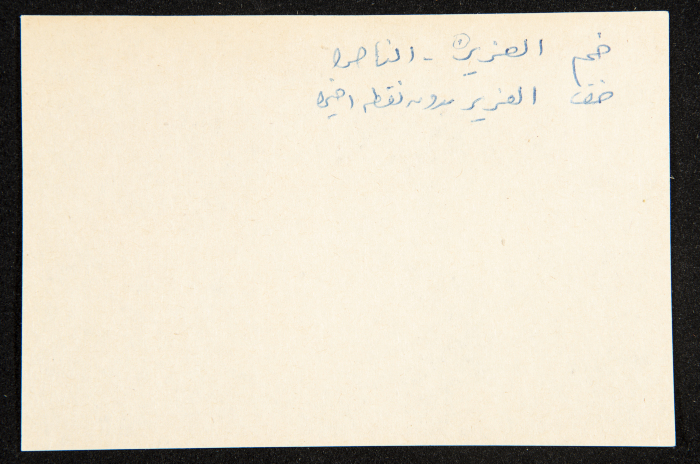 عادل الزواتي، وادي 
