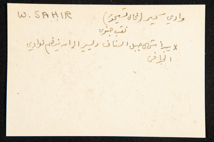 عادل الزواتي، وادي 