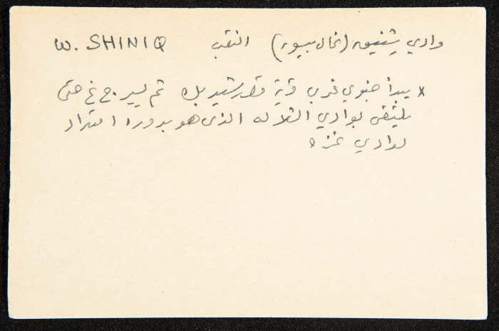 عادل الزواتي، وادي 