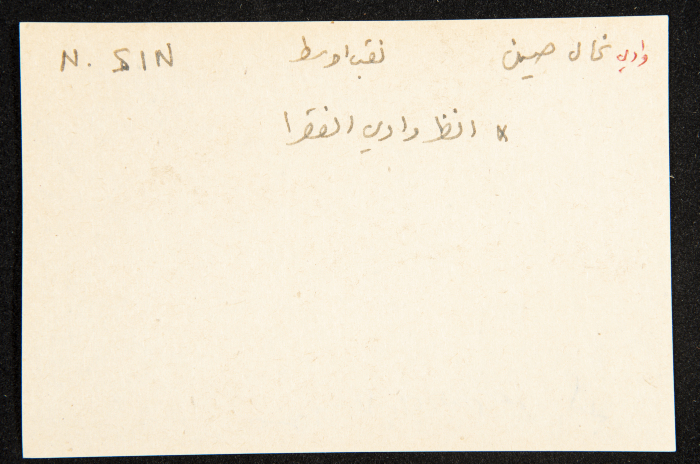 عادل الزواتي، وادي 