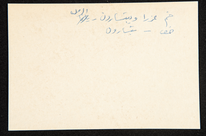 عادل الزواتي، 