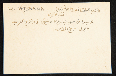 عادل الزواتي، وادي 