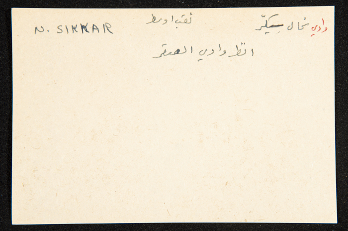 عادل الزواتي، وادي 