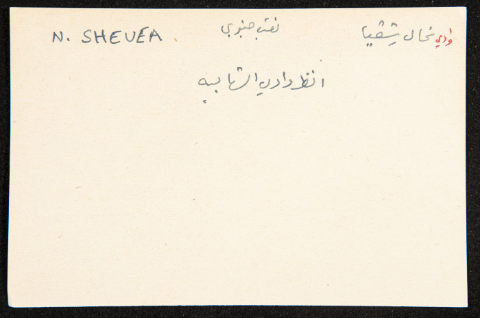 عادل الزواتي، وادي 