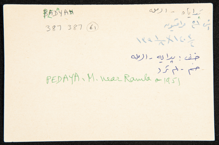 عادل الزواتي، موشاف 