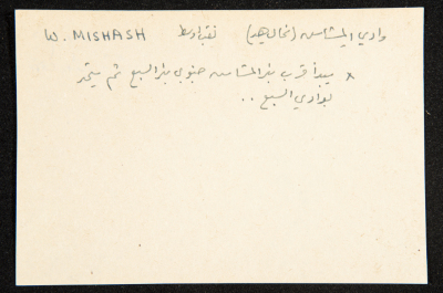 عادل الزواتي، وادي 