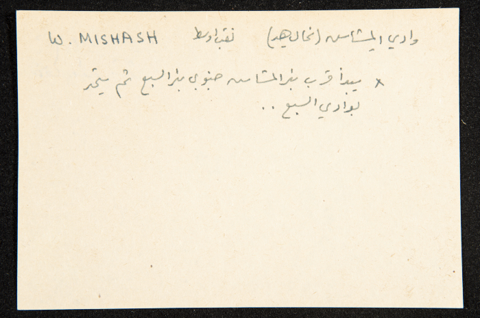 عادل الزواتي، وادي 