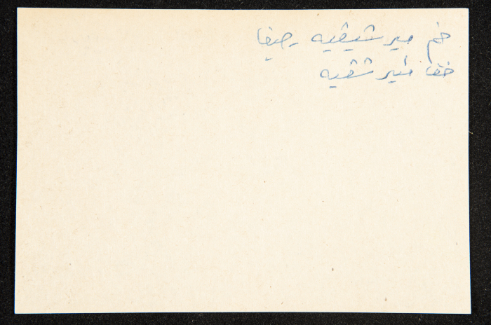 عادل الزواتي، وادي 