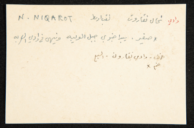 عادل الزواتي، وادي 