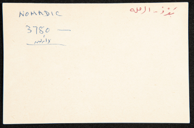 عادل الزواتي، 