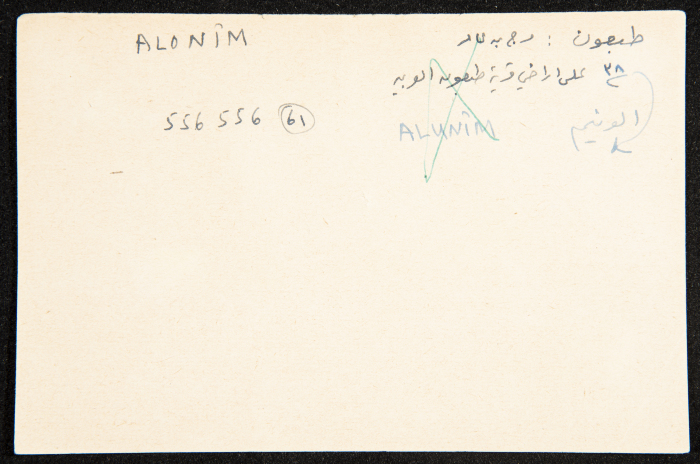 عادل الزواتي، كيبوتس 