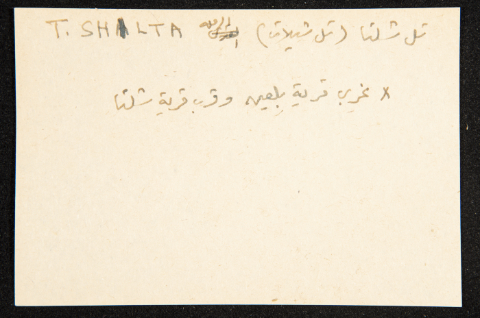 عادل الزواتي، 
