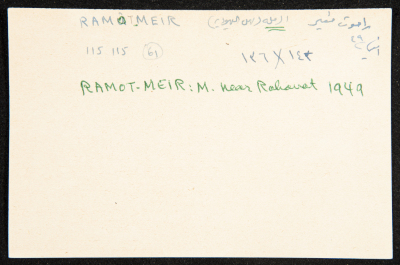 عادل الزواتي، موشاف 