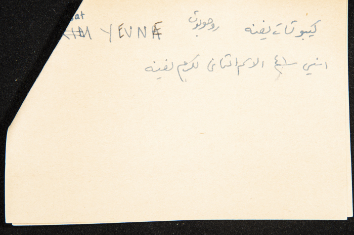 عادل الزواتي، كيبوتسات 