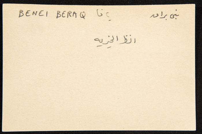 عادل الزواتي، مستعمرة 
