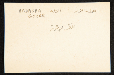 "Hadasha Gezer", ʿĀdel az-Zawaty, a Paper Clipping

