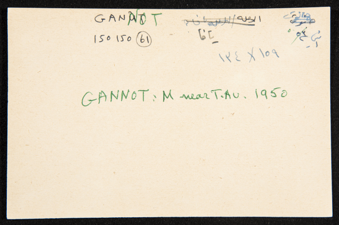 عادل الزواتي، موشاف 