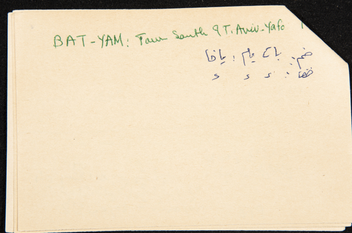 عادل الزواتي، قرية 