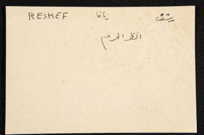 "Reshef", ʿĀdel az-Zawaty, a Paper Clipping
