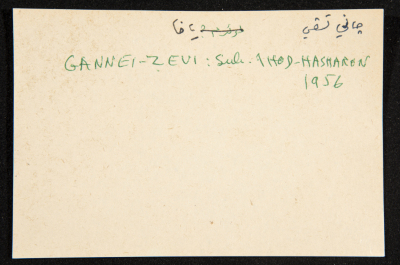 "Gannei Zevi", ʿĀdel az-Zawaty, a Paper Clipping
