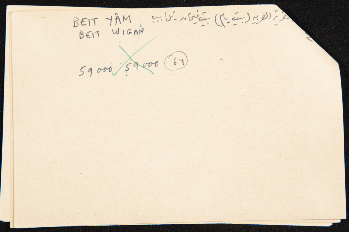 عادل الزواتي، قرية 