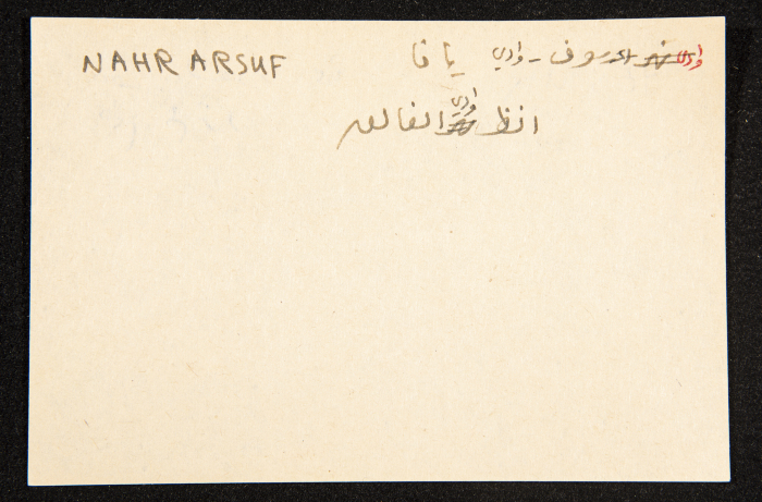 عادل الزواتي، نهر