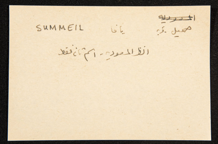 عادل الزواتي، قرية 