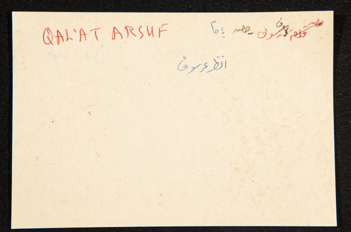 عادل الزواتي، 