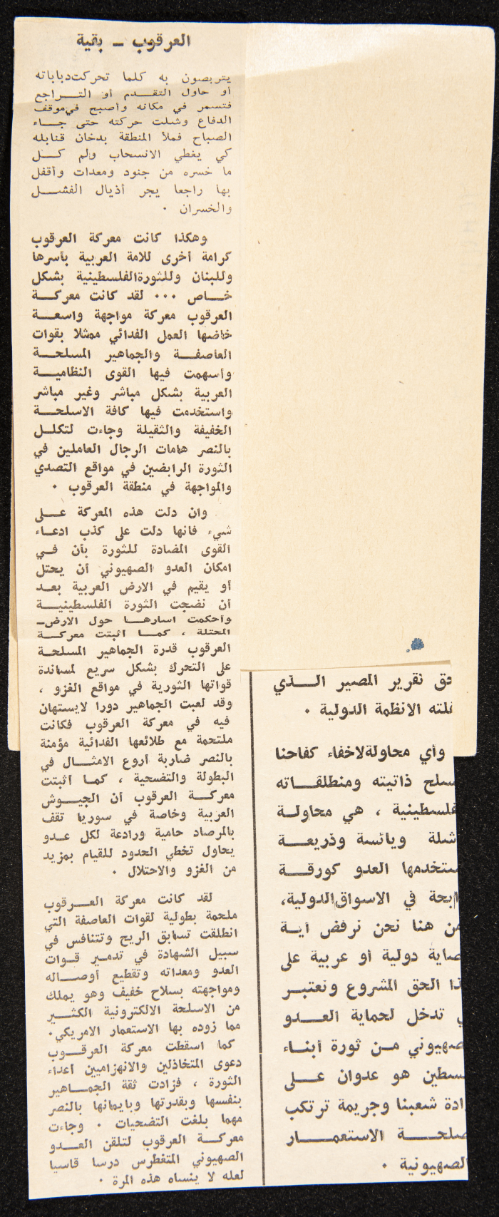 عادل الزواتي، قرية 