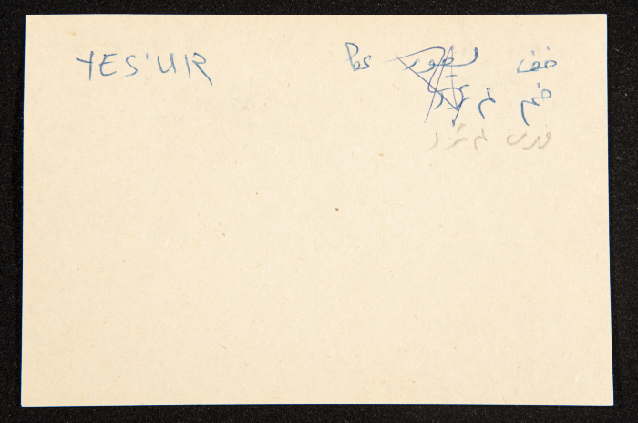 عادل الزواتي، نهر