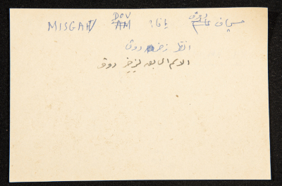 "Misgav Dov", ʿĀdel az-Zawaty, a Paper Clipping
