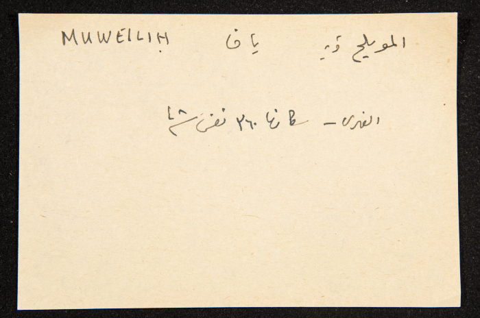 عادل الزواتي، قرية 