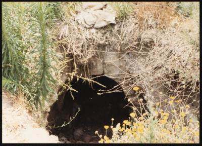 A Photograph of the Remains of an Old Abandoned House, the Depopulated Village of Ashdod, 1986 
