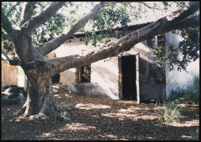 A Photograph of an Old Abandoned House in the Depopulated Village of Ashdod, 1986