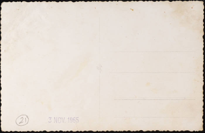 A Photograph of Siblings Hashim and Suhair Samir Barquny, Gaza, 1965 
