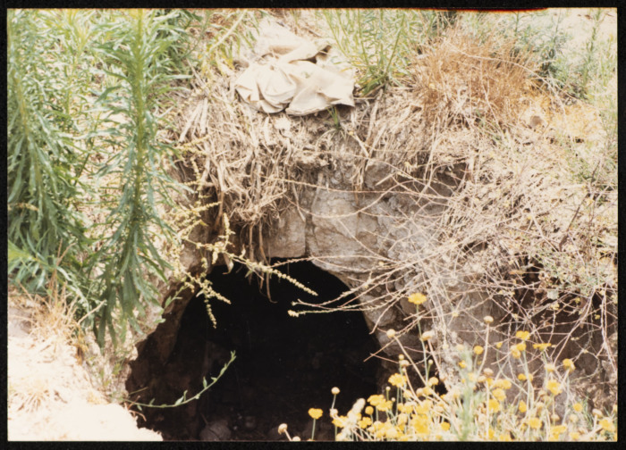 A Photograph of the Remains of an Old Abandoned House, the Depopulated Village of Ashdod, 1986 
