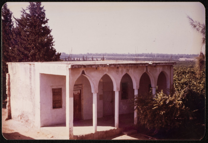 A Photograph of the Batrawi Family's House From Which Zionists Had Them Deported During the 1948 Nakba, Ashdod, 1986
