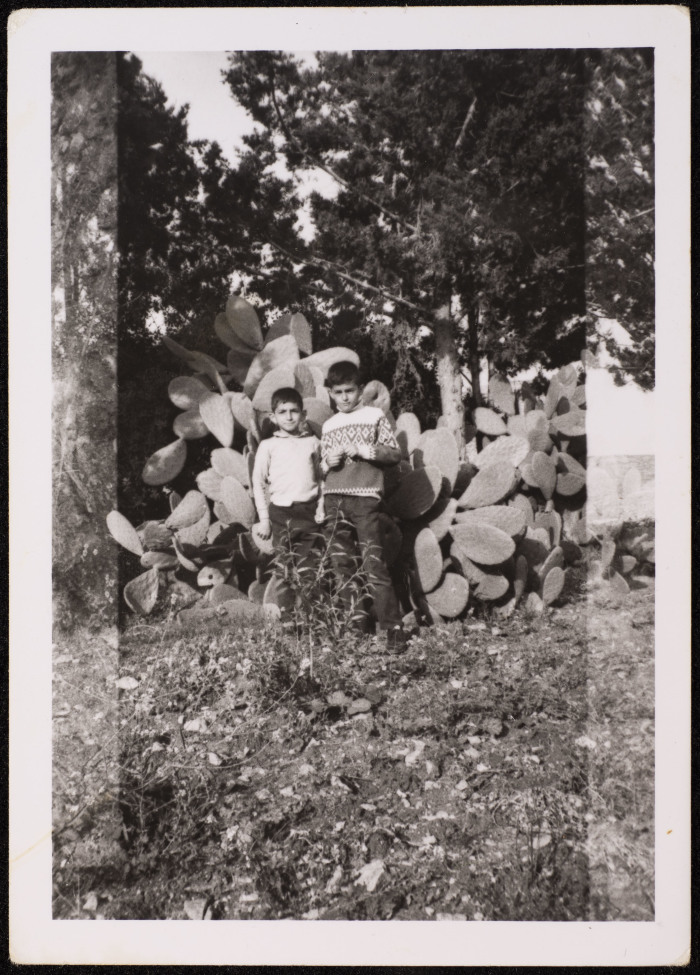 A Photograph of Khalid and Sami Batrawy, Gaza, 1969