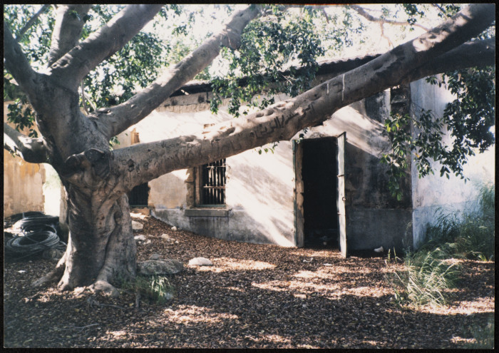 A Photograph of an Old Abandoned House in the Depopulated Village of Ashdod, 1986
