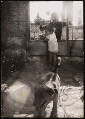 A Photograph of Walid and Sami Batrawy with Their Dog, al-Bireh, 1970-79 