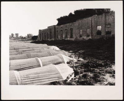 A Photograph of an Old Abandoned House Opposing Greenhouses in the Depopulated Village of Ashdod, 1986
