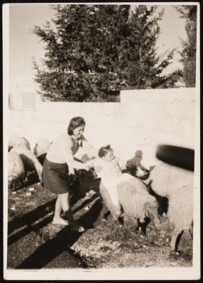 A Photograph of Salwa Barquny and Walid Batrawy, al-Bireh, 1969