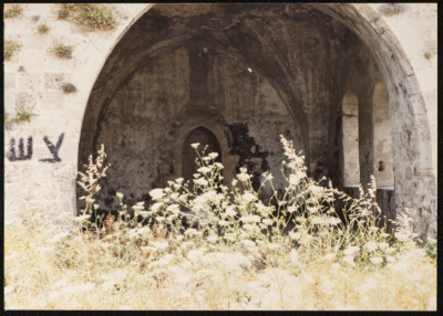 A Photograph of an Old Abandoned House, the Depopulated Village of Ashdod, 1986 