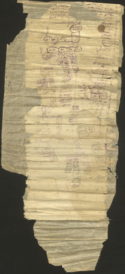 The Zayd al-Kilanis Family Tree 