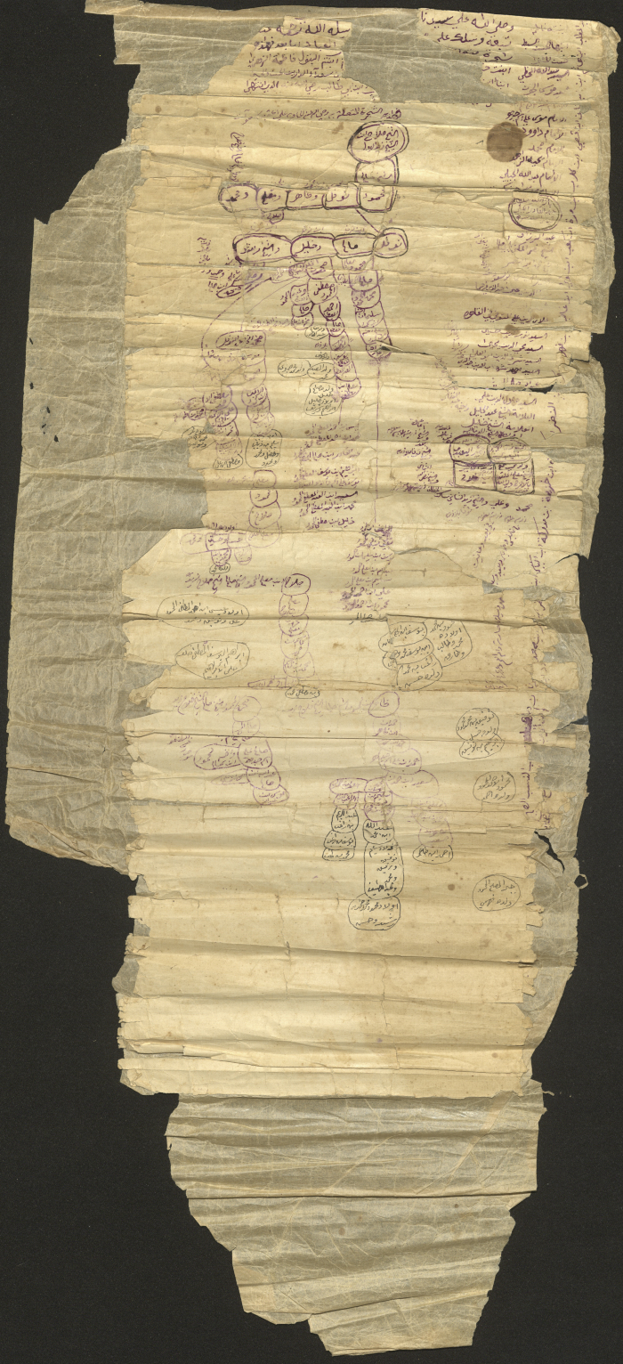 The Zayd al-Kilanis Family Tree 
